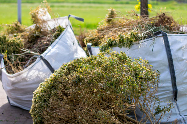 Best Professional Junk Removal  in Emerd Mountain, AL
